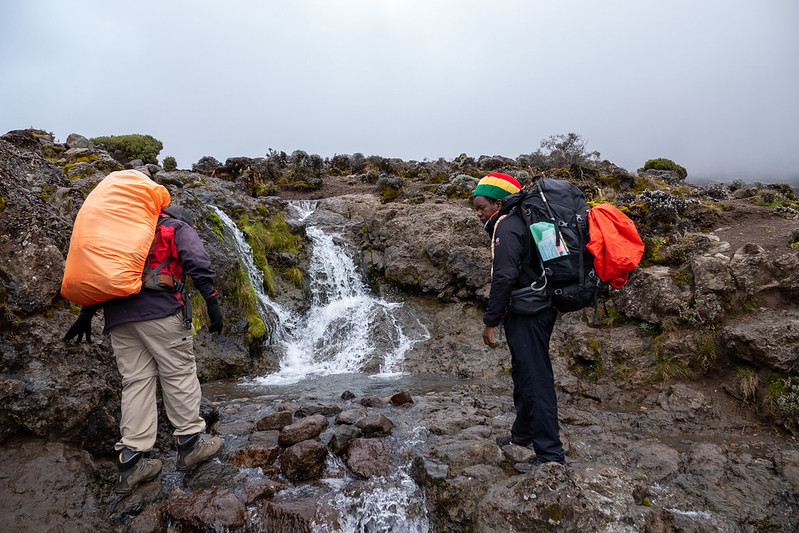 kilimanjaro trek best time of year